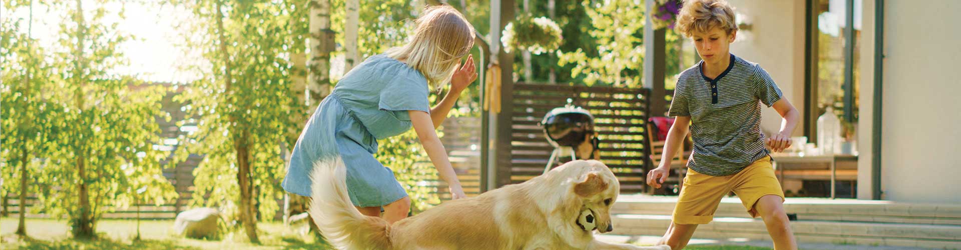Two Kids Playing With Their Handsome Dog On The Backyard Lawn