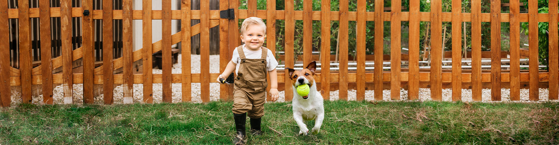 Smiley Toddler Playing In Backyard With Dog